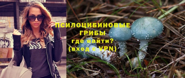 а пвп мука Кропоткин