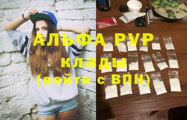 индика Заволжье