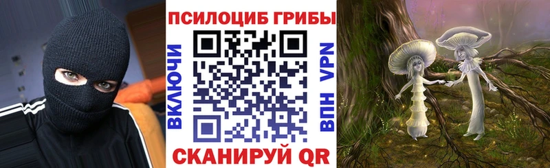 Псилоцибиновые грибы GOLDEN TEACHER  мориарти официальный сайт  Славск 